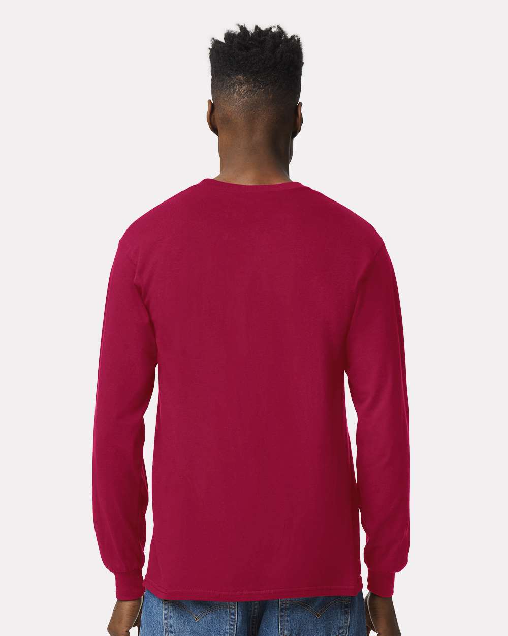 Cardinal - Model Back 