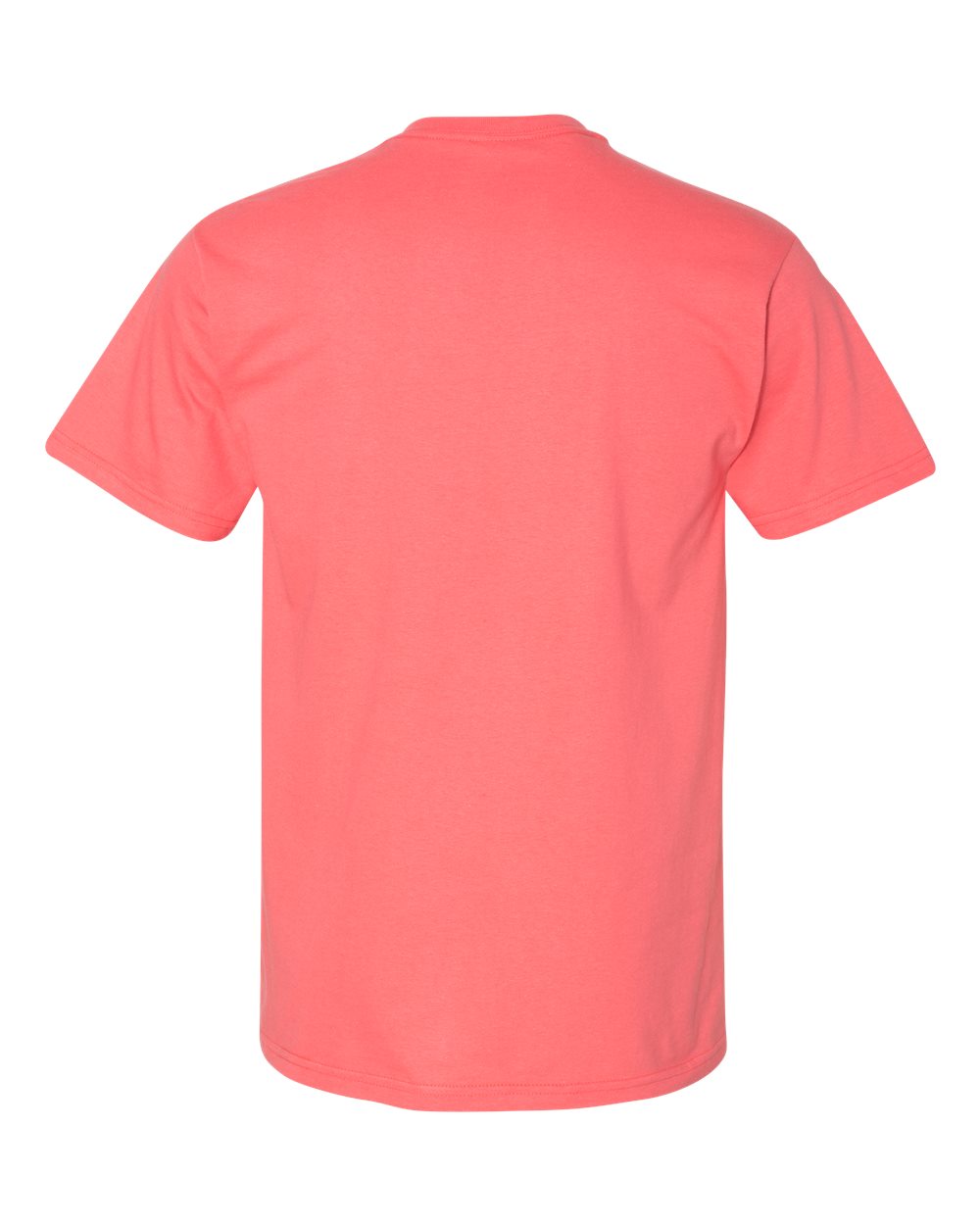 Coral Silk - Back 