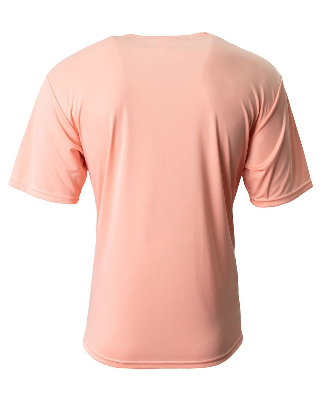 Salmon - Back 