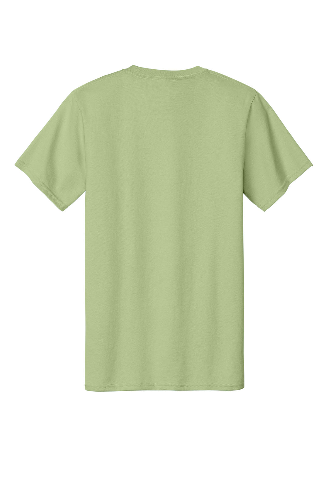 Pistachio - Back 