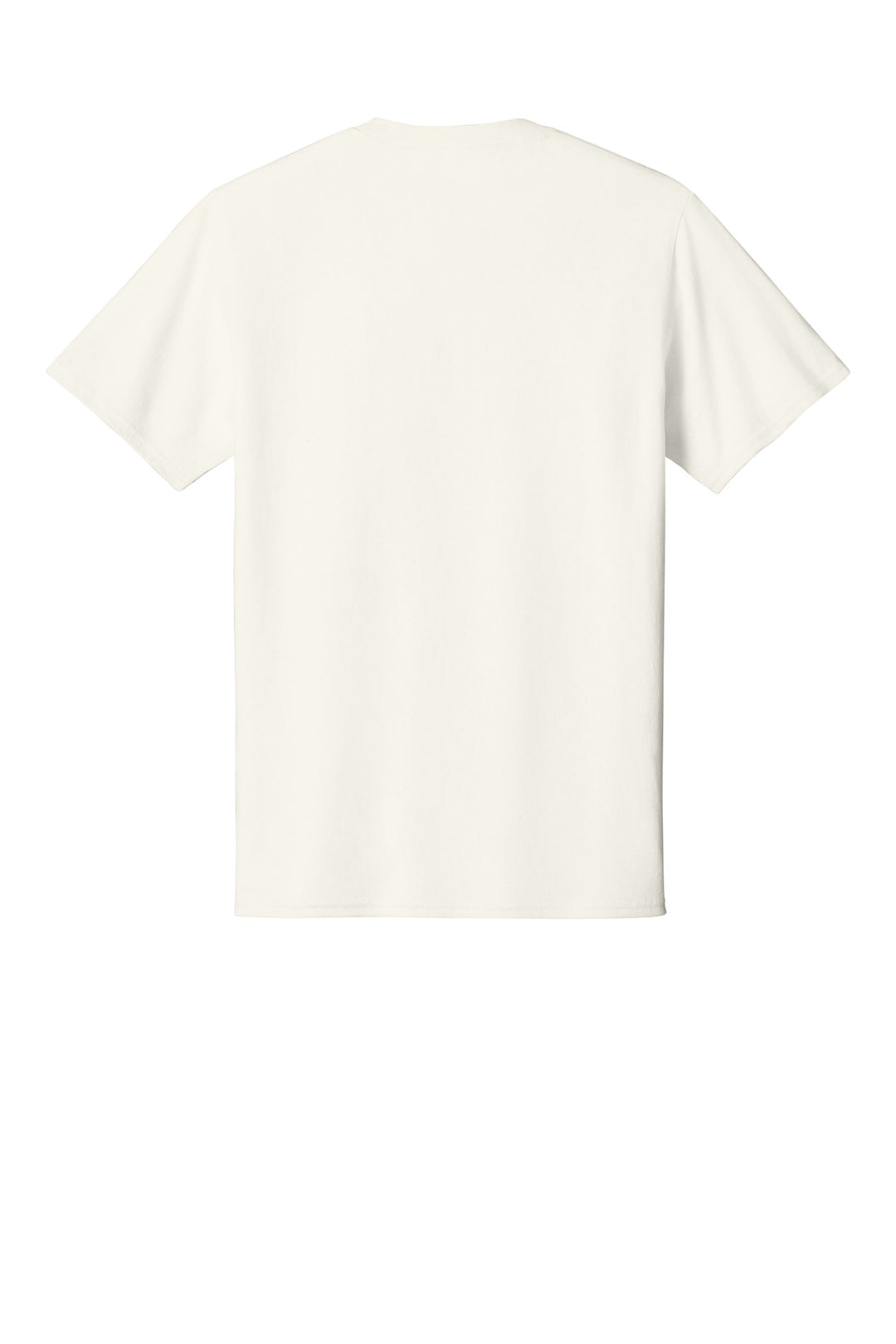 Ivory - Back 