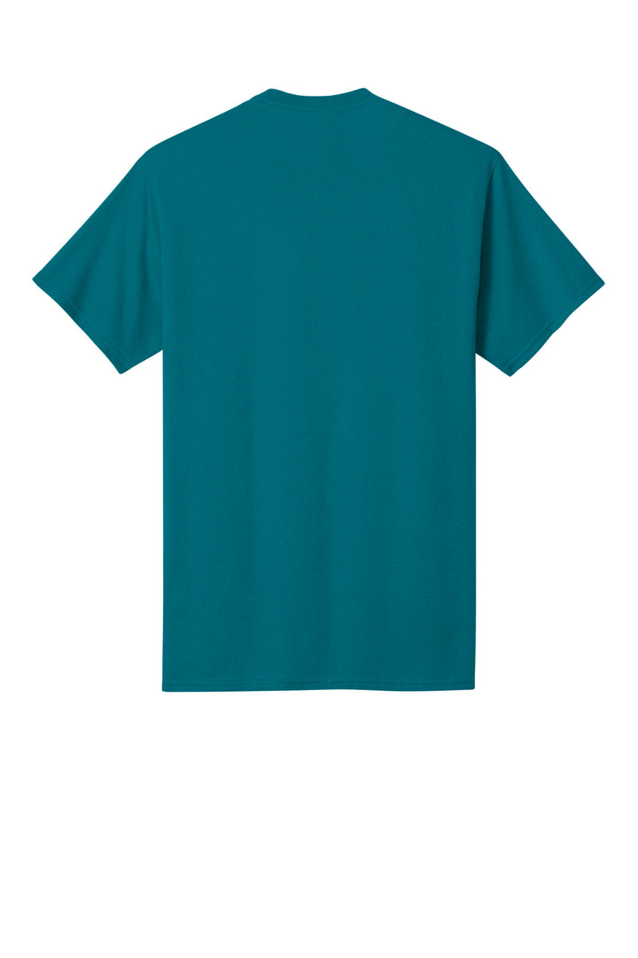 Teal - Back 
