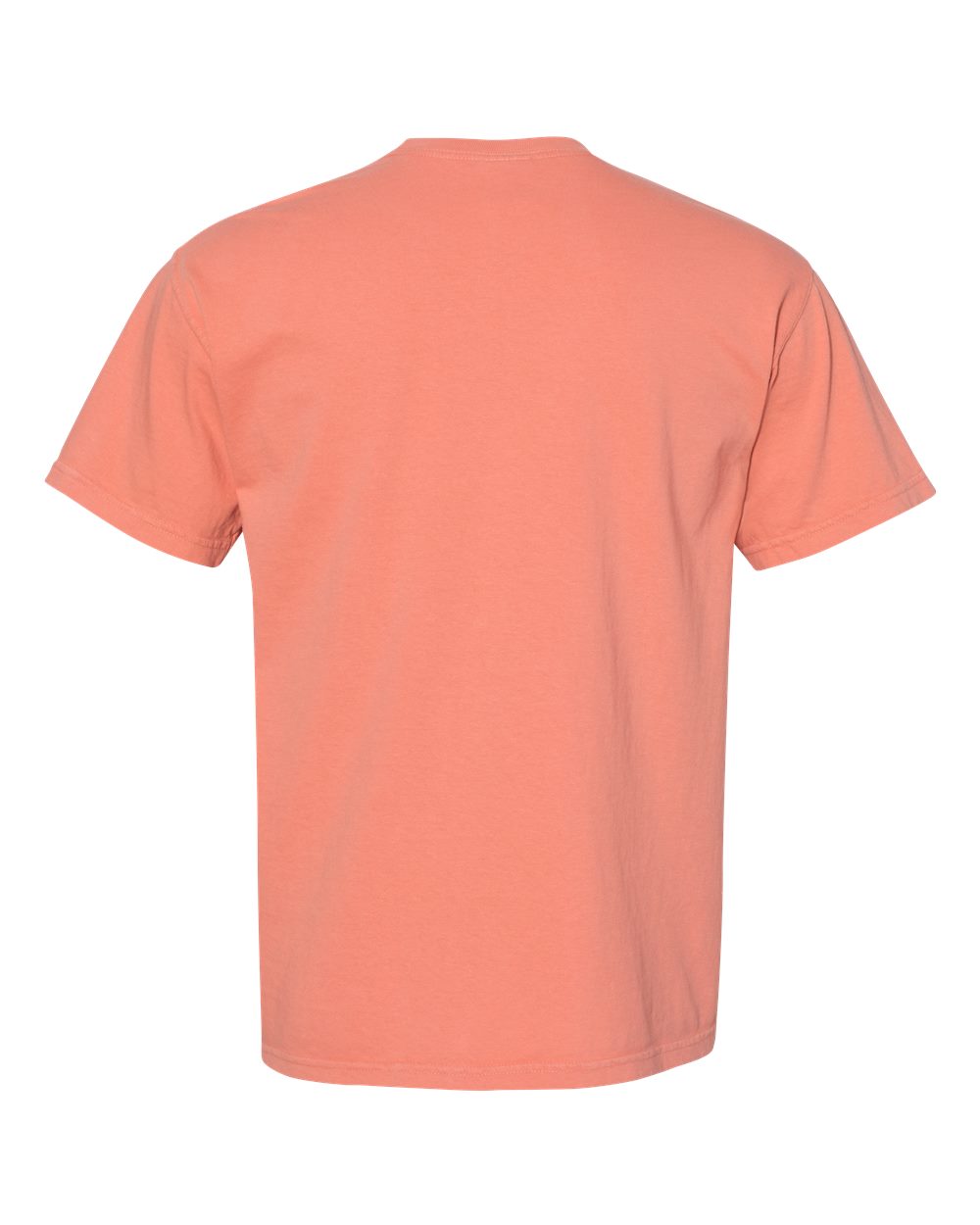 Terracotta - Back 