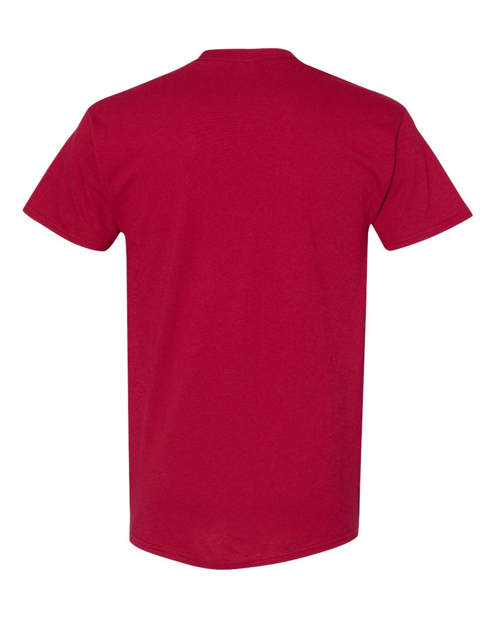 Cardinal - Back 