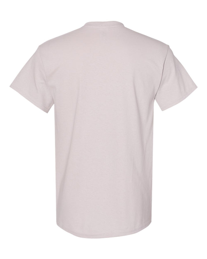 Ice Grey - Back 