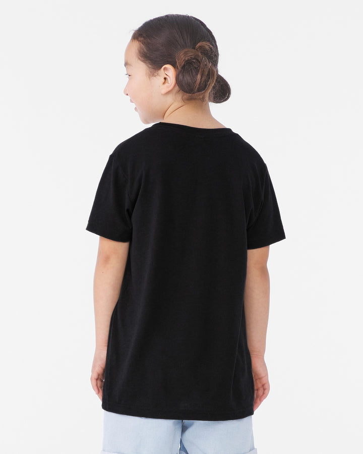 Solid Black Triblend - Back 