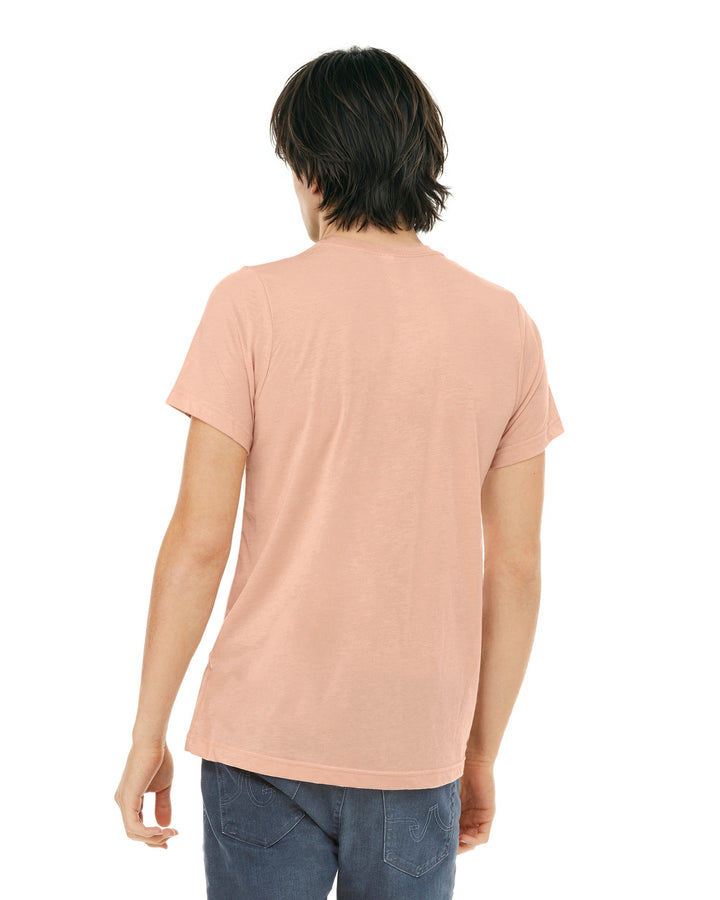 Peach Triblend - Back 