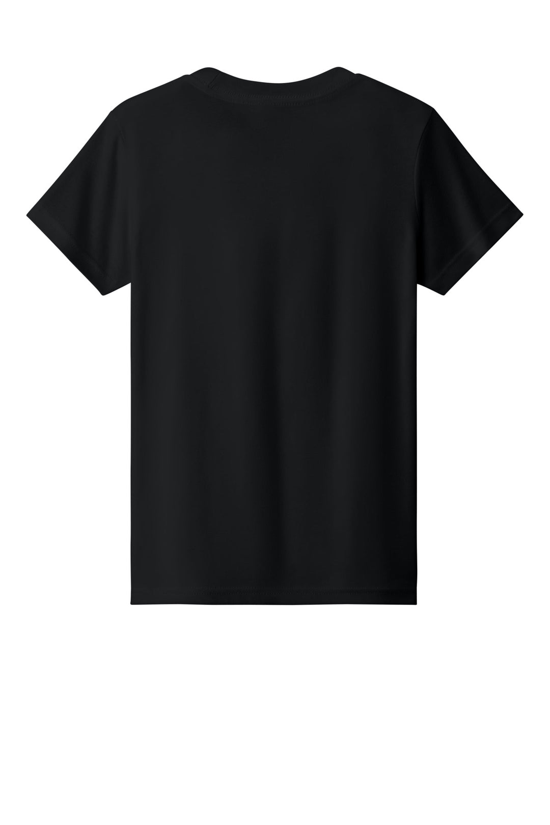 Solid Black Triblend - Back 