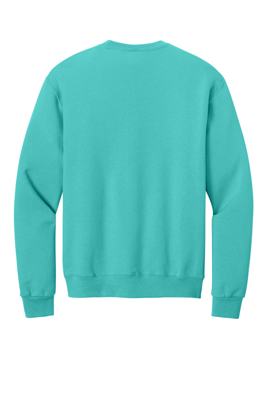 Scuba Blue - Back 