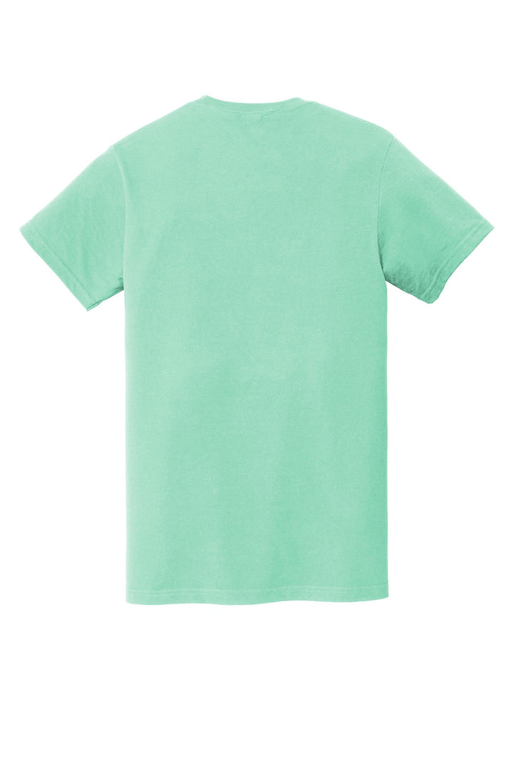 Island Reef - Back 
