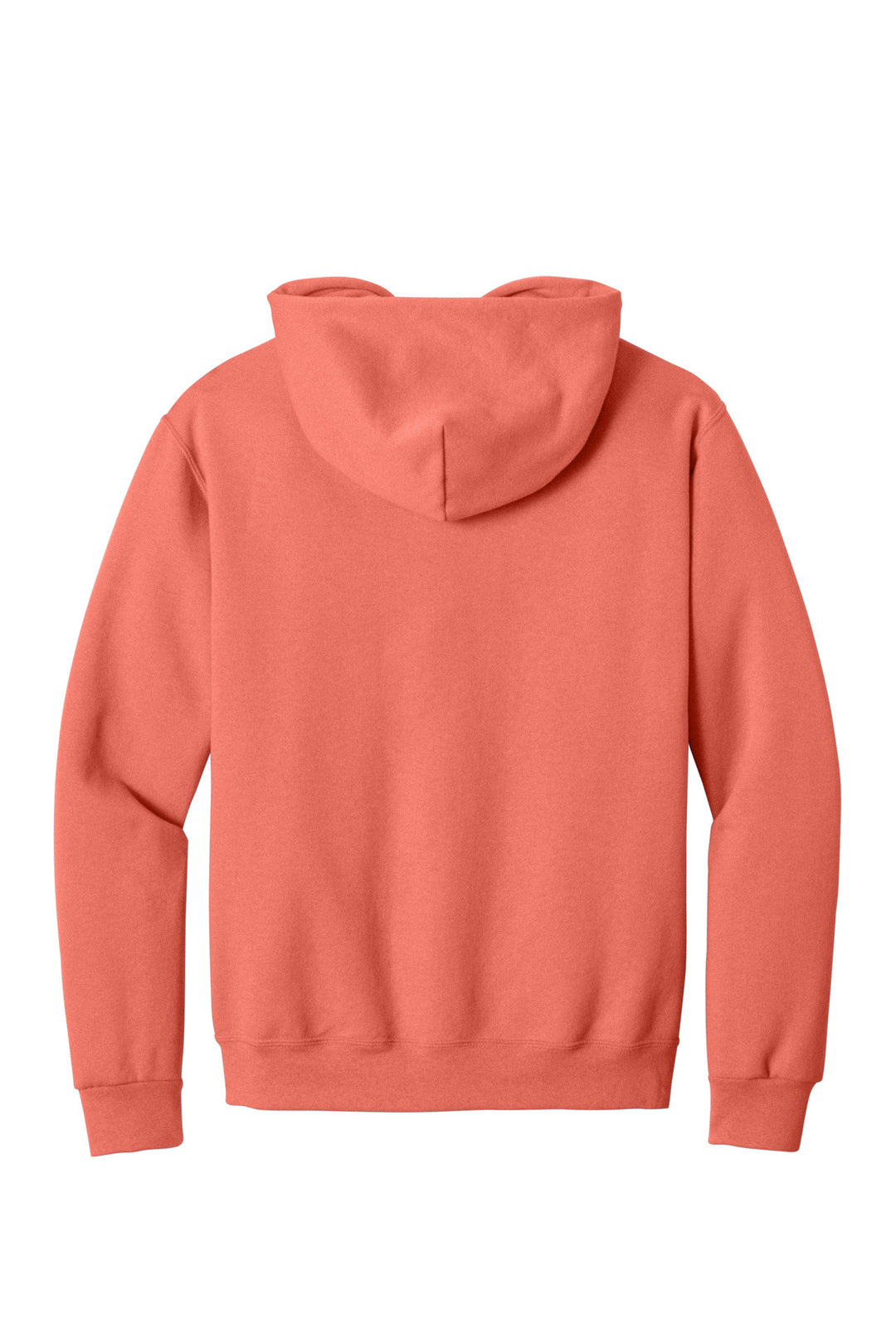 Sunset Coral - Back 