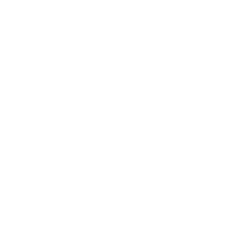 The Ann Arbor T-shirt Company / Celebrate Your Identity